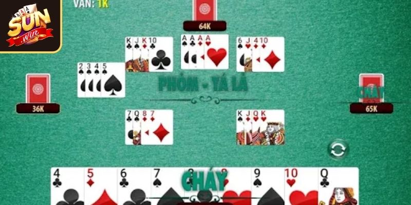 Đôi nét về tá lả SUNWIN
